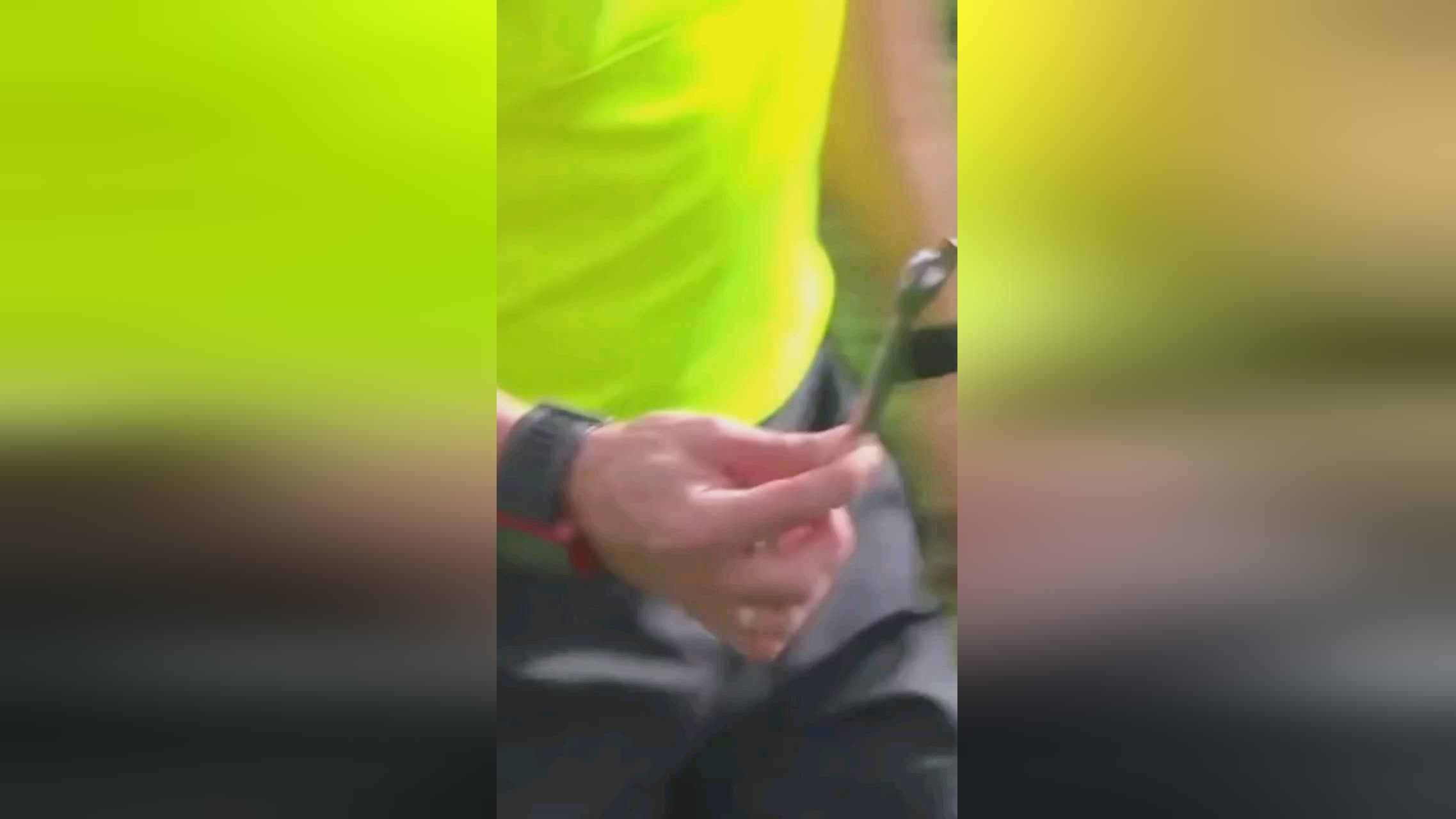样具备